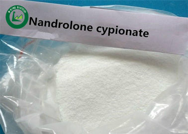 Άσπρη σκόνη ακατέργαστο ιατρικό Nandrolone Cypionate για την απώλεια βάρους, CAS 601-63-8